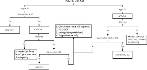 Figure 1 From Recent Advances In Treatment Of Aplastic Anemia