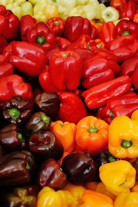 Choosing And Growing Peppers
