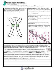 Dna, chromosomes, genes, and traits: EnzymesHWVer.pdf - AMOEBA SISTERS VIDEO RECAP ENZYMES ...