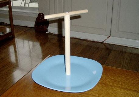 This is an easy diy bird stand that you can create as shown in this. DIY Bird Perch Plate - petdiys.com