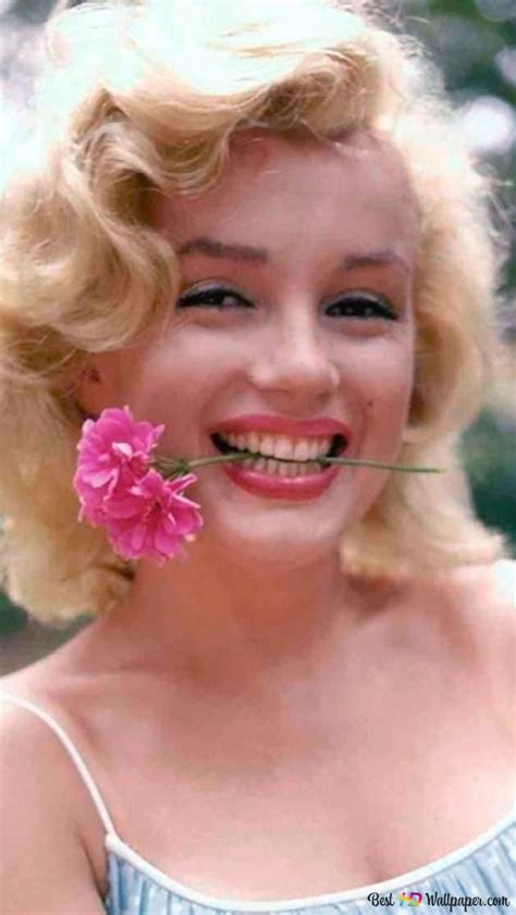 Beautiful Actress Marilyn Monroe Biting A Pink Flower Hd Wallpaper Download