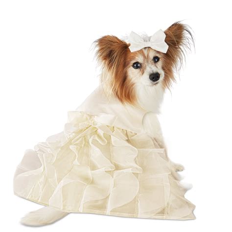 Dog Wedding Dresses Top 10 Find The Perfect Venue For Your Special