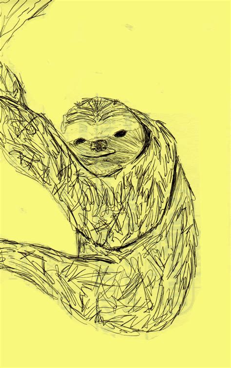 Sloth By Lukeskywalker07 On Deviantart