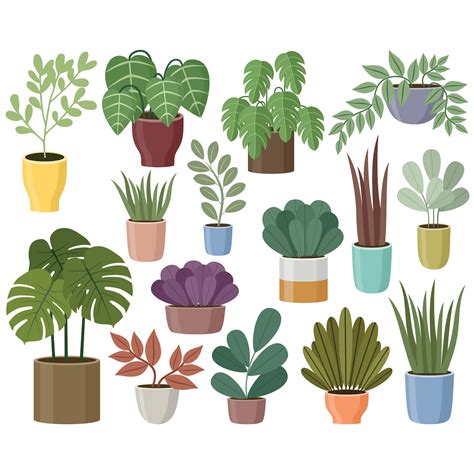 House Plants Clipart Gardening Vector Houseplant Graphic Potted