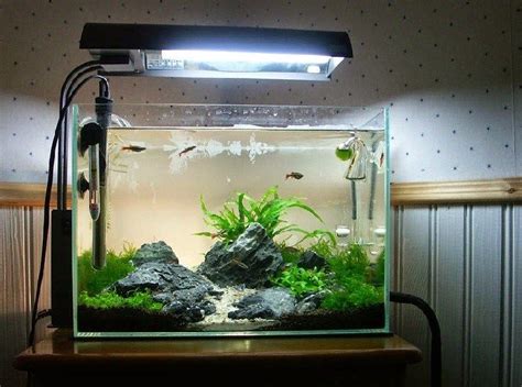 Bagi seorang pemula, tentu mereka akan memilih membuat aquascape mini. 30 Desain Aquascape Minimalis Simple, Sederhana dan ...