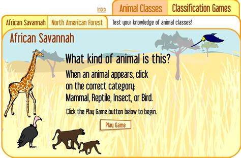 Juego Interactivo Para Clasificar Animales Animal Classification