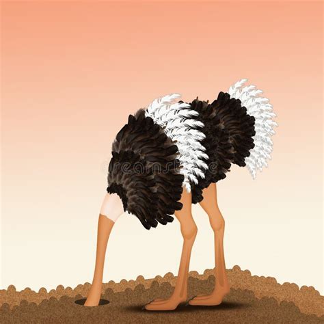 Head Hiding Ostrich Sand Stock Illustrations 51 Head Hiding Ostrich