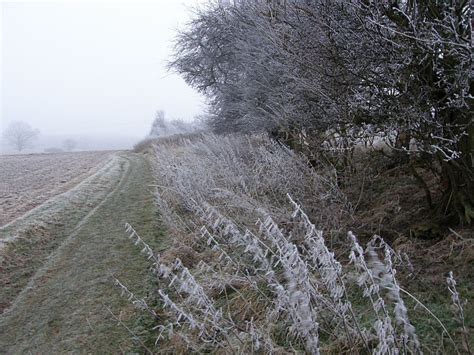 Frosty Fields Tales From The Wood The Diary Of A Badger Watching Man