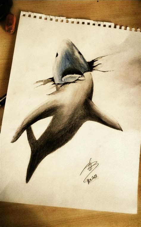 Shark Drawing Amit Sadik
