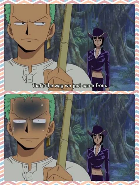 Zoro Robin Lost Funny Text Quote One Piece Photo Collages One