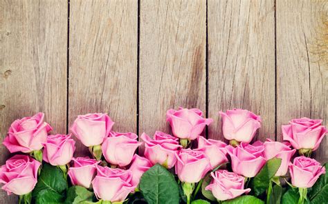 Download Wallpaper 2880x1800 Pink Roses Wood Background Hd Background