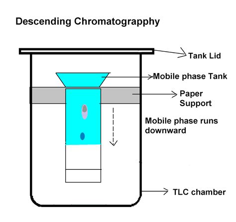 Paper Chromatography Diagram