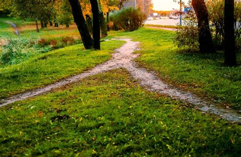 Combining Paths In The Park By The Highway The Two Little Narrow