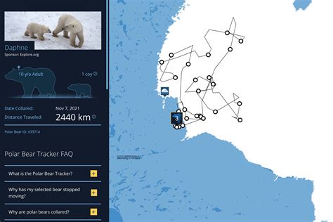 Where Do Polar Bears Live Map