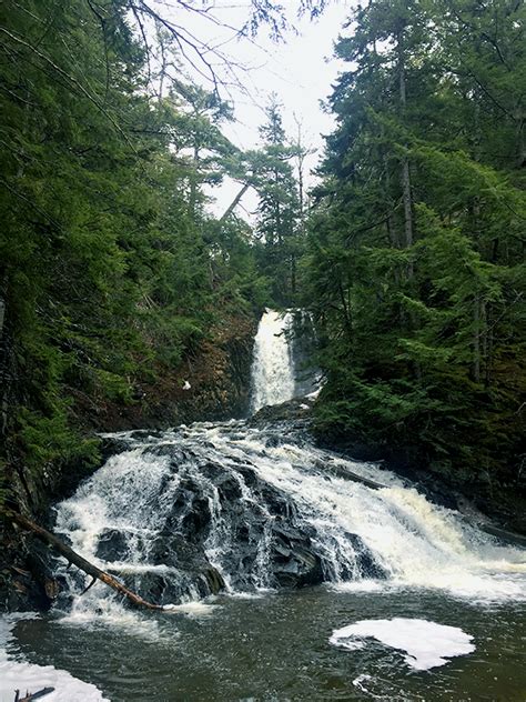 Fall For The Top 5 Waterfalls In Nova Scotia Visit Halifax Halifax Nova Scotia The Coast