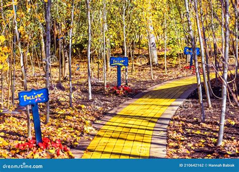 Follow The Yellow Brick Road Stock Photo Image Of Autumn Forestry