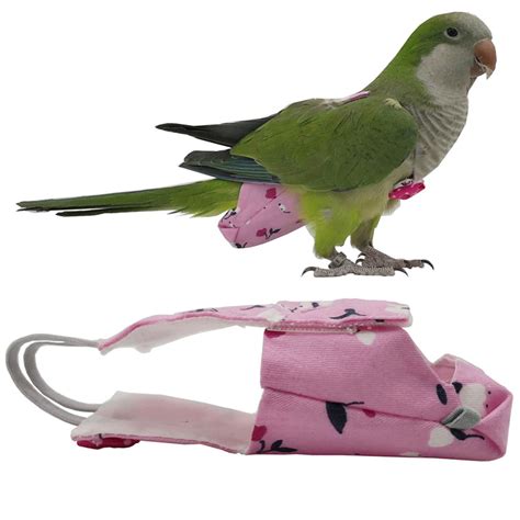 Bird Parrot Diaper Flight Suit Diaper Clothes Parakeet Pigeon Etsy