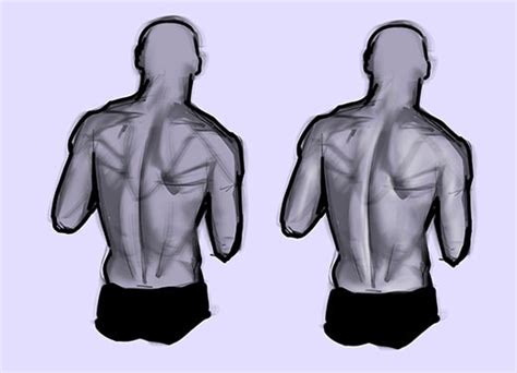 How To Draw The Human Back A Step By Step Construction Guide Gvaat S Workshop