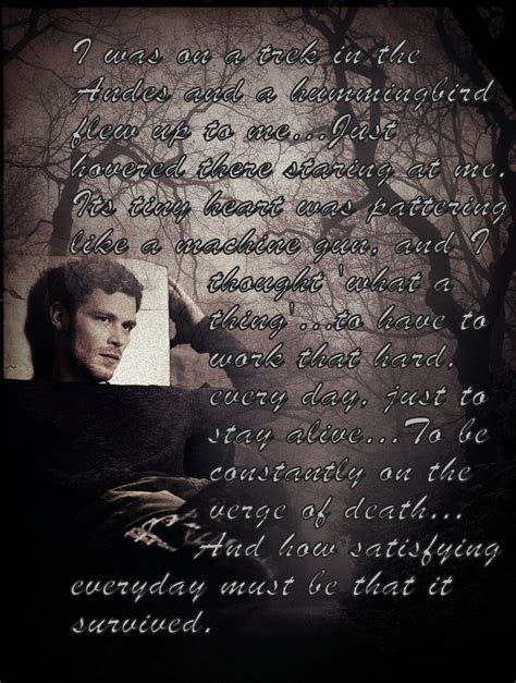 They first interacted in our town, when tyler accidentally bit caroline after being ordered to do so by klaus, who was trying to get back at stefan through his love for elena. Klaus - Hummingbird | Klaus
