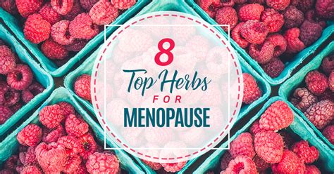 8 Top Herbs For Menopause Nutracraft