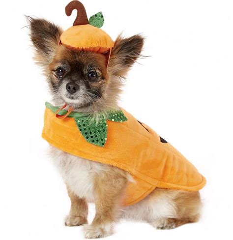 Awesome Dog Costumes For Halloween 2020 Laptrinhx News