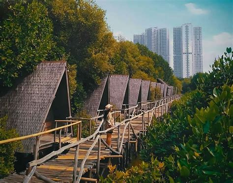 ≡ 6 Destinasi Wisata Mangrove Terindah Di Indonesia Pernah
