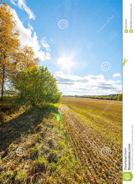 Autumn Landscape Colorful Sunny Day Green Fields And Yellow Trees