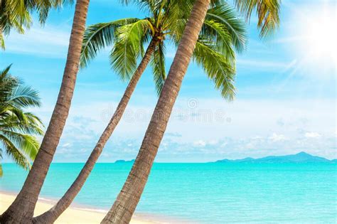 Tropical Island Beach View Exotic Beautiful Nature Landscape