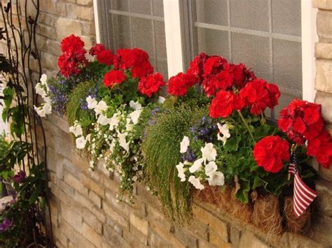 All these flowers can bear the tropical heat and thrive in full sun. Full sun red white and blue window box | Outdoor flower ...