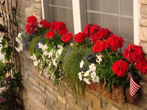 Window box flowers full sun best flowers for window boxes in full. Full sun red white and blue window box | Outdoor flower ...