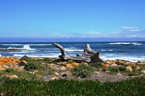 Stone Beach In South Africa Free Image Download