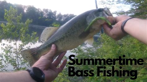 Summertime Bass Fishing Youtube
