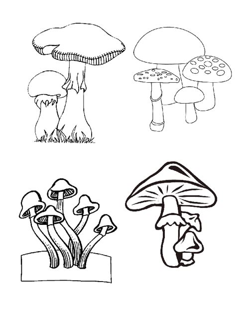 Para colorear hongos Colorear imágenes