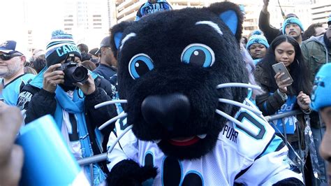 ‘youre The Best The Panthers Sir Purr And His Video Really Are