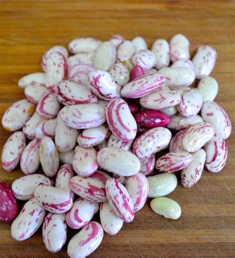Cranberry beans are approximately the size of kidney beans, but with a mottled reddish brown and white coloration. Fresh Cranberry Beans with Olive Oil and Garlic | Recipe | Cranberry beans, Fresh cranberries ...