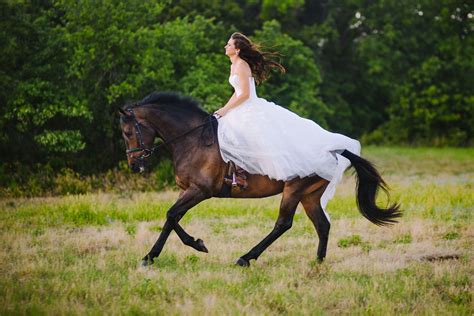 Wedding Dress And Horses Horse Wedding Beautiful Horses Horse