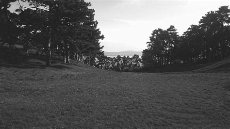 Forest Black White Monochrome Hungary Lake Mountains