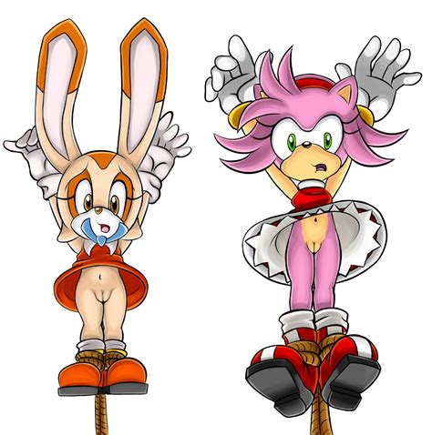 Rule 34 Amy Rose Cream The Rabbit No Panties Sonic Series Upside