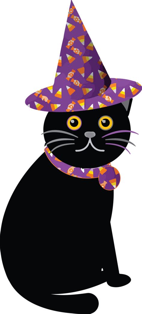 Halloween T Shirt Black Cat Cat For Black Cats For Halloween 2985x6575