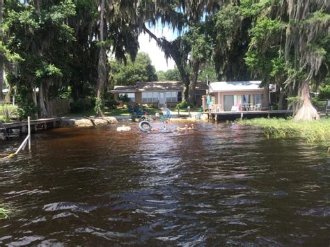 Currently there are 17 homes for sale, 1 condos and apartments for sale and 42 vacant land for sale in melrose. Sandy Beach on Lake Santa Fe- Melrose, FL Has Internet ...