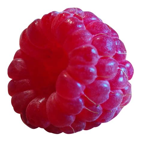 Raspberry PNG Image PurePNG Free Transparent CC0 PNG Image Library