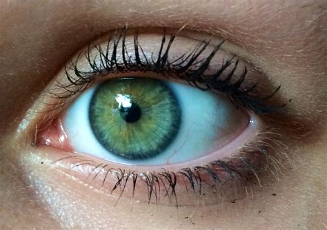 عيون خضراء ووردز
