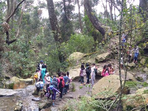 Caminata Quebrada Las Delicias Awalí Colegios Salidas Pedagógicas