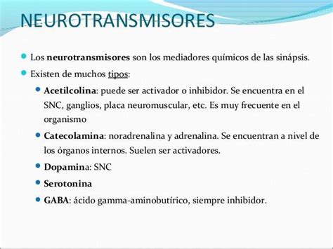 Tema Sistema Nerviosolos Mediadores Qu Micos De La Sinapsis Son A