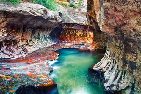 Davidwhite Photography Travel And Places The Subway Emerald Green Pools In Right Fork Of