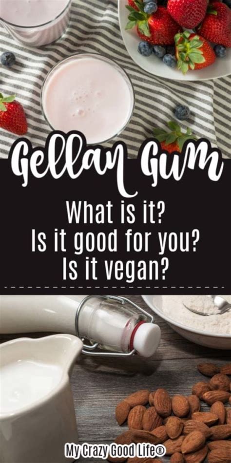 Easy Vegan Gellan Gum Your Simple Guide 2024 Atonce