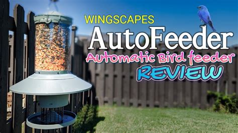 Wingscapes Autofeeder Automatic Bird And Fowl Feeder Review Youtube