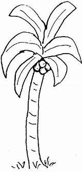 Tree Coloring Coconut Pages Chicka Boom Drawing Palm Puerto Tree1 Trees Rico Color Preschool Comment Coconuts Kids Worksheets Water Toddler sketch template