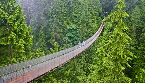 The 9 Scariest Bridges In The World You Can Walk On If You Dare