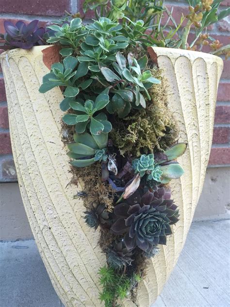 Broken Pot Succulent Container By Kristin Middleton